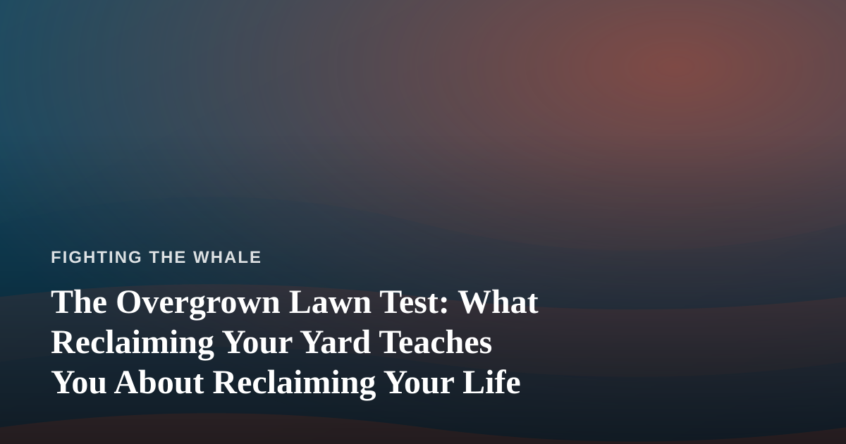 The Overgrown Lawn Test: What Reclaiming Your Yard Teaches You About Reclaiming Your Life
