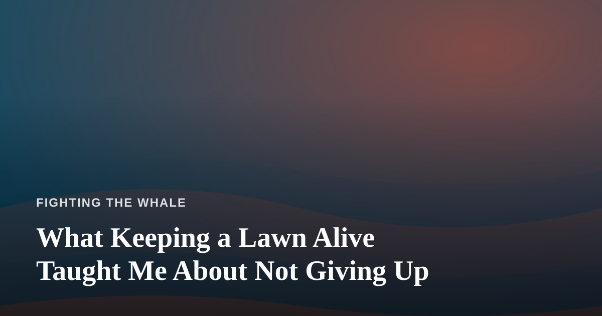 What Keeping a Lawn Alive Taught Me About Not Giving Up