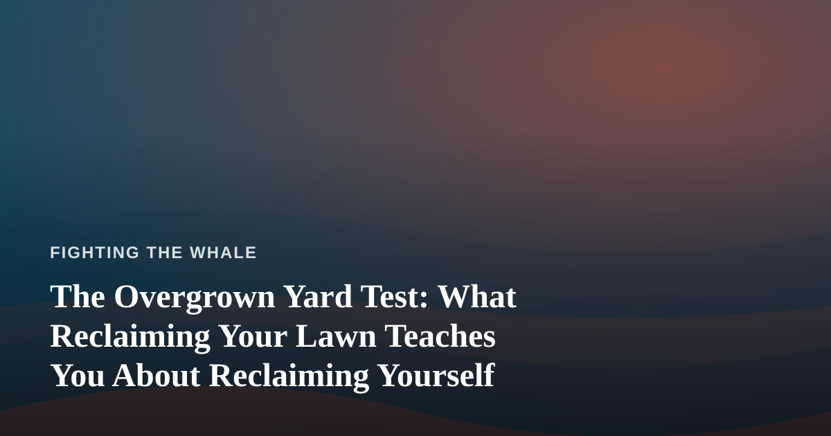 The Overgrown Yard Test: What Reclaiming Your Lawn Teaches You About Reclaiming Yourself