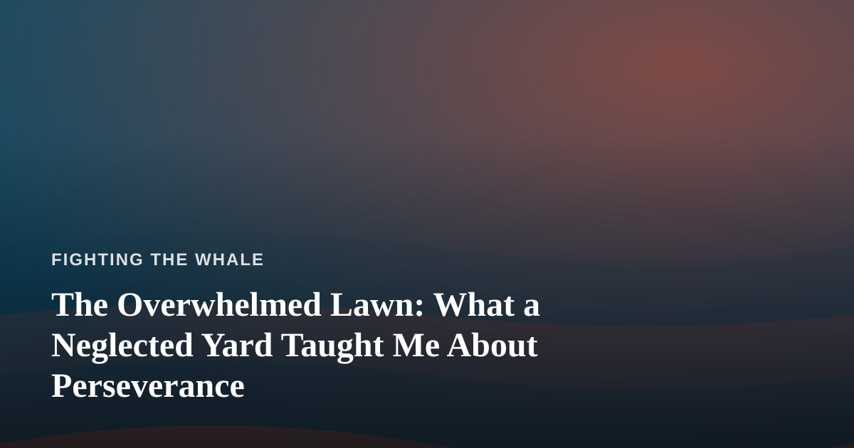 The Overwhelmed Lawn: What a Neglected Yard Taught Me About Perseverance